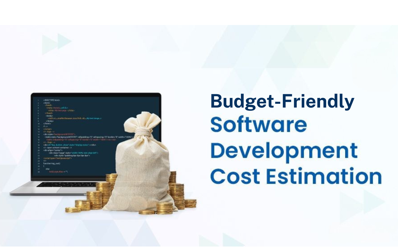 Budget software development
